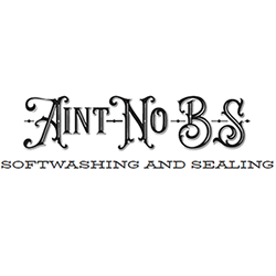 aint-no-bs-softwashing-logo