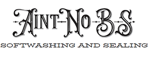 aint-no-bs-softwashing-logo